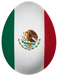 produccion avicola en mexico, huevo, ponedoras, el sitio avicola,chris wright