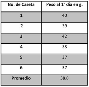  temperatura de piso en produccion de pollos, el sitio avicola, chris wright