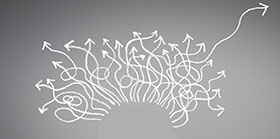  produccion avicola, industria avicola, chris wright, el sitio avicola