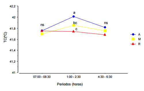  estres calorico en pollos, el sitio avicola
