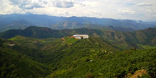 PolloCoa planta de incubacion en Colombia-Petersime