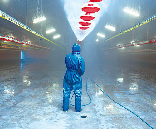 Cid-LInes,-Virocid,-bioseguridad,-Juan-Ospina-