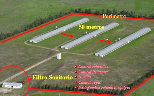 Dr. Oscar Rivera- el sitio avicola