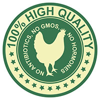  produccion de pollo sin antibioticos-dr. hector cervantes