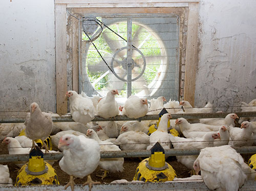 ventilacion y sindromo de muerte subita