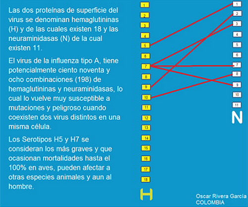 dr oscar rivera-sepas de influenza aviar-el sitio avicola