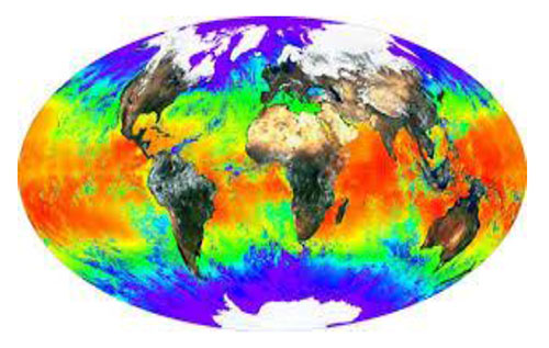  cambio climatico y influenza aviar-el sitio avicola-chris wright