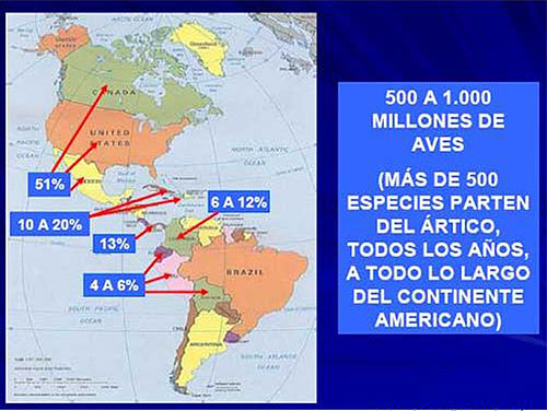 oscar rivera-influenza aviar-el sitio avicola-chris wright