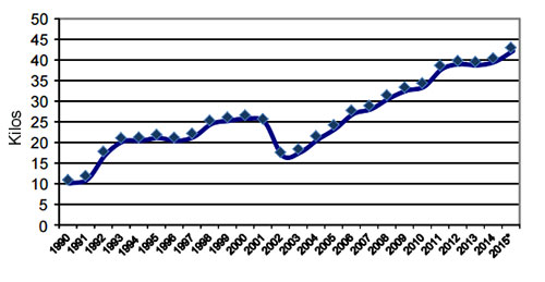 Consumo de pollo per capita en Argentina