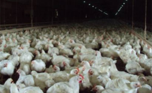 ventilacion de tunel-Joseph Lockinger