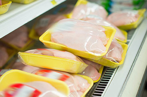 Campylobacter en pollo-el sitio avicola