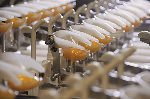 -consumo-de-huevo-en-argentina