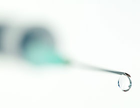 bacteria en granjas de broilers