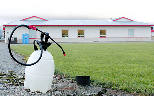 desinfeccion de los galpone- el sitio avicola