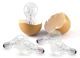 Alumbramiento y calidad interna del huevo