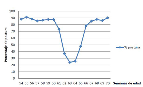 produccion de huevo, avicultura, el sitio avicola