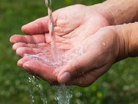 higiene y produccion de pollo, el sitio avicola