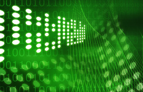 salmonella aviar, el sitio avicola