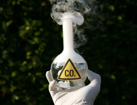 incubacion de huevos, CO2 y incubacion de huevos, el sitio avicola, avicultura