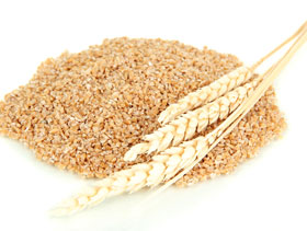 Alimentacion de reproductoras, elsitioavicola