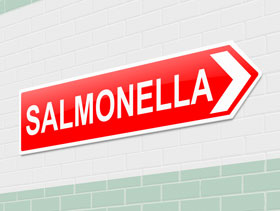 Salmonelosis en aves El Sitio Avícola