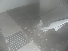 procesamiento de pollos, el sitio avicola