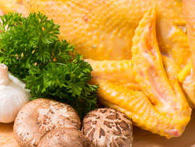 Canales de pollo resistentes a antibacterianos, El Sitio Avicola