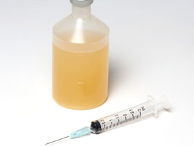 vacuna contra Salmonella ElSitioAvicola