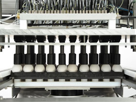 Embrex vacunadora in ovo  elsitioavicola