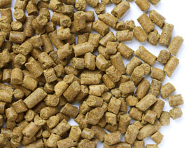 Pelets DDGS trigo ElSitioAvicola