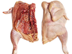 pollo podrido  ElSitioAvicola