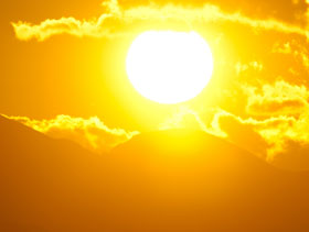 estres calorico  El Sitio Avicola