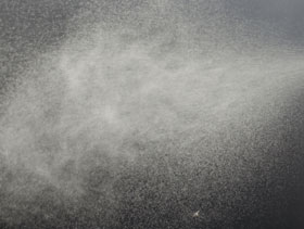 termonebulizacion el sitio avicola