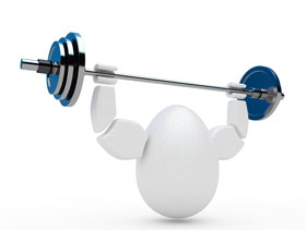 cascara de huevo El Sitio Avicola