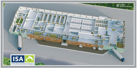 planta de incubacion, el sitio avicola, ISA