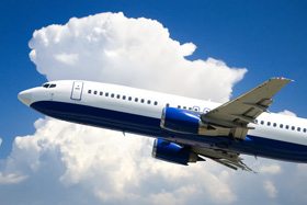 influenza aviar, pandemia mundial, el sitio avicola