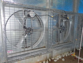 enfriamiento por evaporacion en casetas avicolas, el sitio avicola