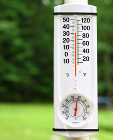 sistemas de enfriamiento por evaporacion en casetas avicolas, el sitio avicola