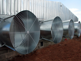 ventiladores de tunel en casetas avicolas, el sitio avicola, cria de aves