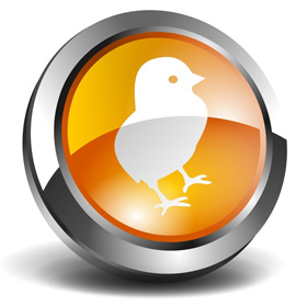 trazabilidad produccion de huevo y carne avicola, el sitio aviola, chris wright