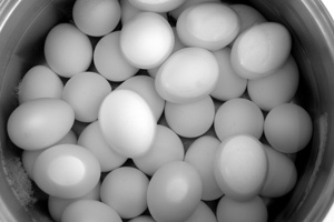 pasteurizacion de huevos, el sitio avicola, chris wright