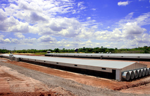 dr rivera garcia, colombia industria avicola, el sitio avicola