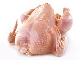 olor en pollo, color de pollo