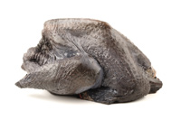 sanitizante para pollo, planta de procemiento de pollo