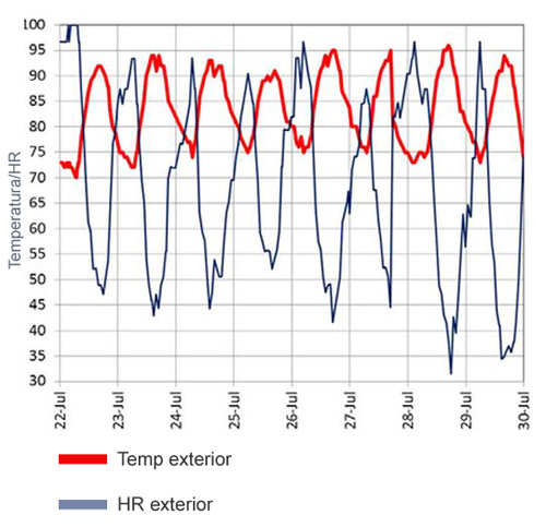 cama de pollos de engorda
