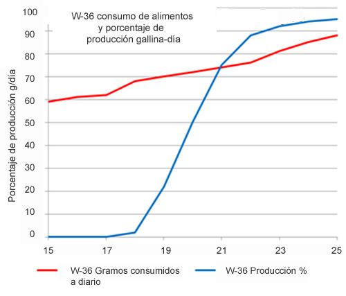 gestion de ponedoras, el sitio avicola, Hyline, Chris Wright, industria avicola
