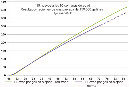 gestion de ponedoras, el sitio avicola, industria avicola, chris wright