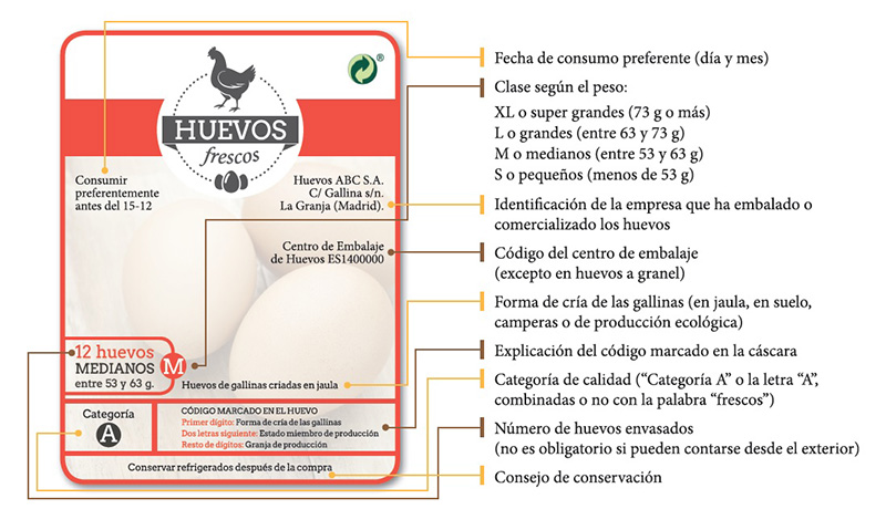 haga clic en la figura para ampliar 